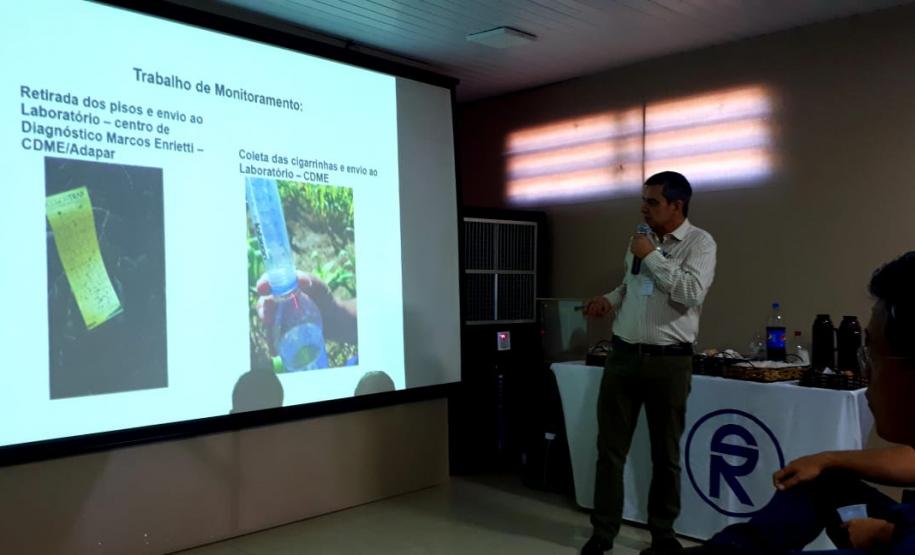 Adapar apresenta ações de controle biológico da cigarrinha, praga do milho