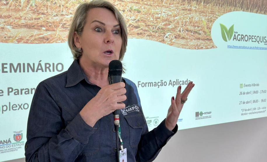 Enfezamento do milho tem rede de pesquisa no Paraná