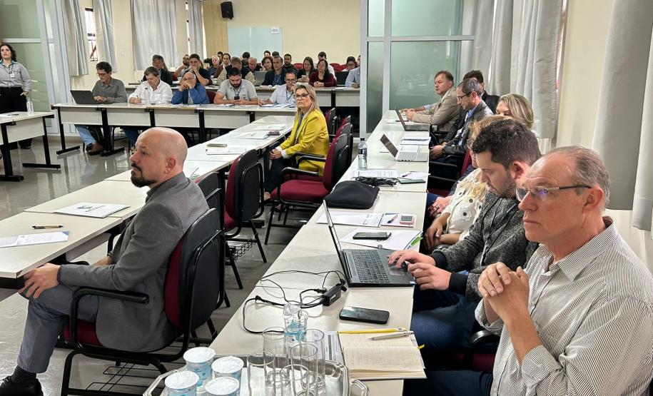 Enfezamento do milho tem rede de pesquisa no Paraná