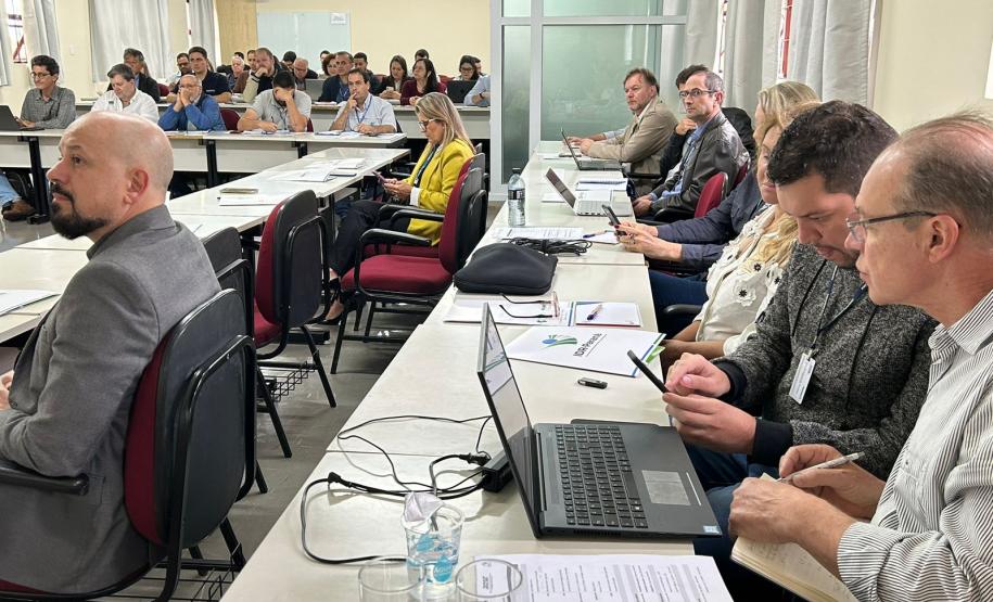 Enfezamento do milho tem rede de pesquisa no Paraná