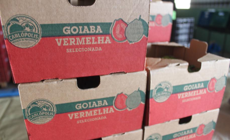Cooperativa do Norte Pioneiro melhora estrutura com apoio do Programa Coopera Paraná