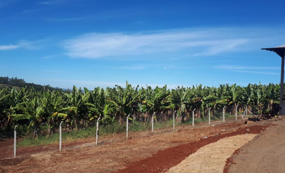 Estado reforça apoio à agricultura familiar em eventos no Vale do Ivaí