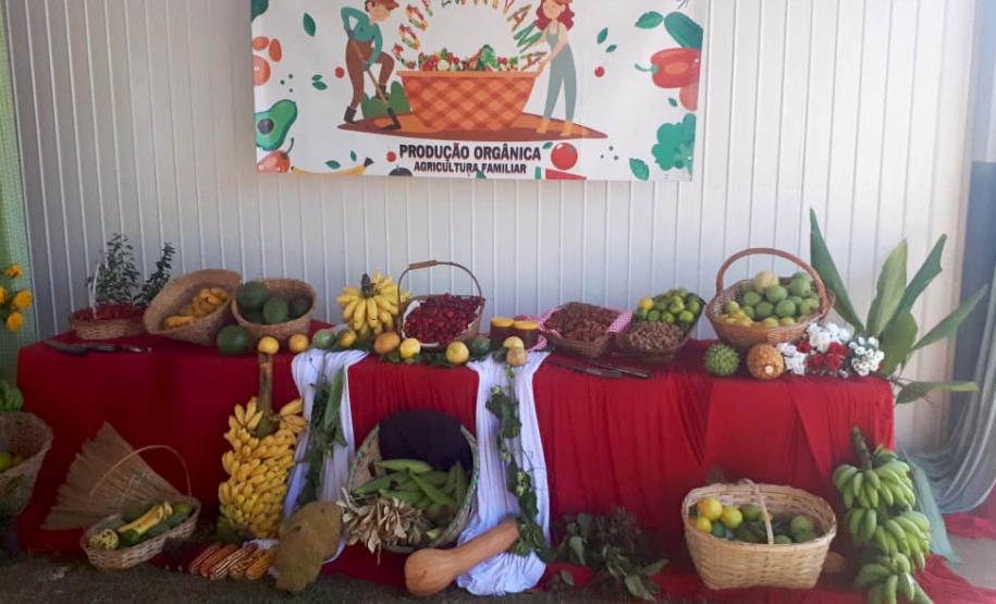 Com apoio do Estado, produtores de Nova Tebas investem para produzir polpa de frutas