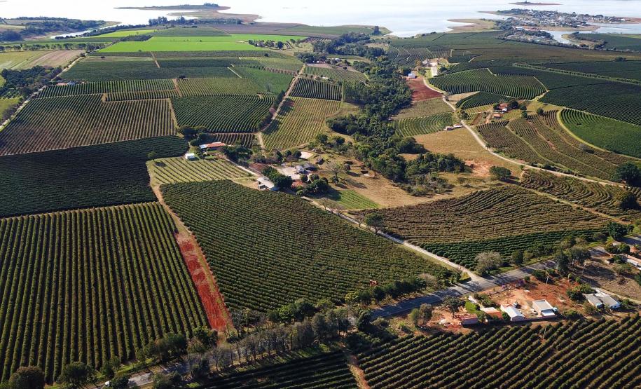 Apesar do ânimo trazido pelas chuvas, a queda dos preços preocupa os triticultores. Em maio o preço médio recebido por uma saca de trigo foi de R$69,01, valor 30% inferior ao registrado no mesmo mês de 2022 (R$98,60). Esse valor também é inferior ao necessário para produzir estes mesmos 60kg de trigo, conforme os dados referentes a maio divulgados pelo DERAL. Os custos variáveis de trigo estão estimados em R$73,21 por saca, um valor 29% inferior ao estimado em maio de 2022 (R$103,69). A retração é justifica