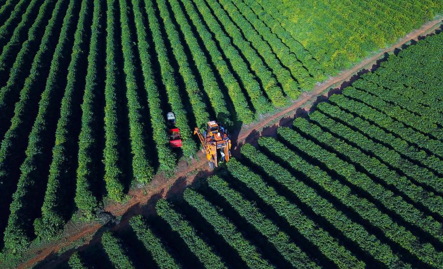 Apesar do ânimo trazido pelas chuvas, a queda dos preços preocupa os triticultores. Em maio o preço médio recebido por uma saca de trigo foi de R$69,01, valor 30% inferior ao registrado no mesmo mês de 2022 (R$98,60). Esse valor também é inferior ao necessário para produzir estes mesmos 60kg de trigo, conforme os dados referentes a maio divulgados pelo DERAL. Os custos variáveis de trigo estão estimados em R$73,21 por saca, um valor 29% inferior ao estimado em maio de 2022 (R$103,69). A retração é justifica
