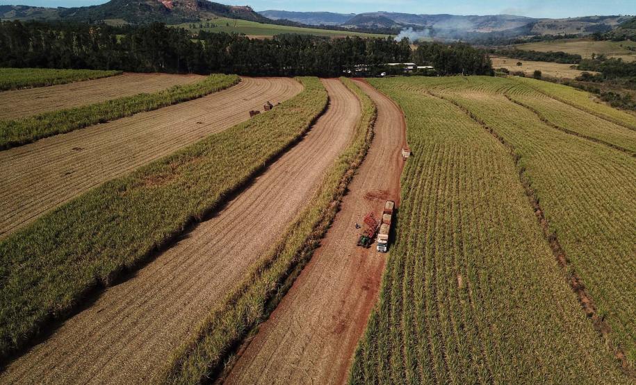 Apesar do ânimo trazido pelas chuvas, a queda dos preços preocupa os triticultores. Em maio o preço médio recebido por uma saca de trigo foi de R$69,01, valor 30% inferior ao registrado no mesmo mês de 2022 (R$98,60). Esse valor também é inferior ao necessário para produzir estes mesmos 60kg de trigo, conforme os dados referentes a maio divulgados pelo DERAL. Os custos variáveis de trigo estão estimados em R$73,21 por saca, um valor 29% inferior ao estimado em maio de 2022 (R$103,69). A retração é justifica