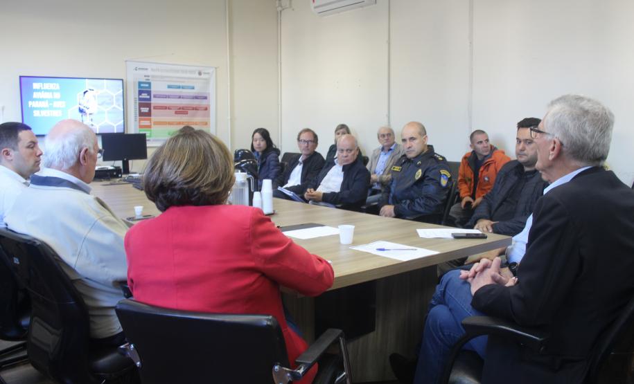 Governo do Paraná, setor privado e entidades do agro trabalham para conter casos de gripe aviária