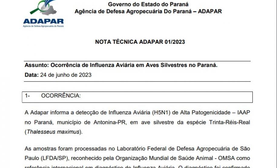 Paraná registra primeiro caso de gripe aviária e Governo reforça protocolo de contenção