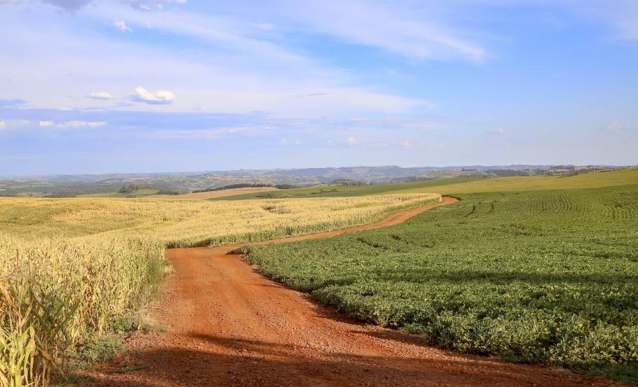 Safra de grãos 22/23 deve chegar a 46,6 milhões de toneladas no Paraná