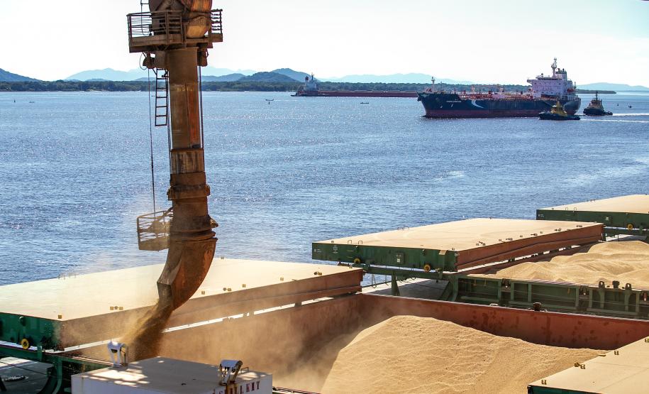 Valor Bruto da Produção Agropecuária do Paraná cresce 6% em 2022 e alcança R$ 191 bilhões