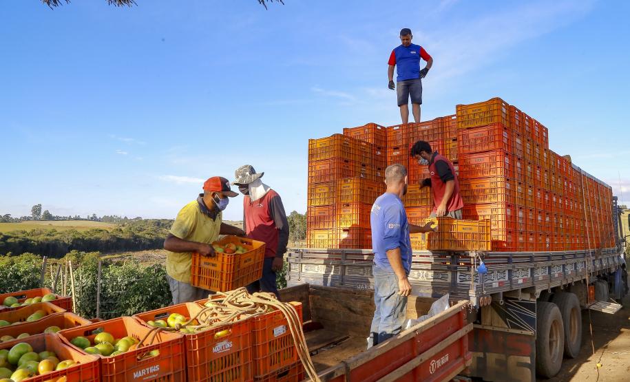 Valor Bruto da Produção Agropecuária do Paraná cresce 6% em 2022 e alcança R$ 191 bilhões