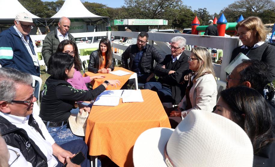 Governo do Paraná prepara concurso para estimular produção de seda