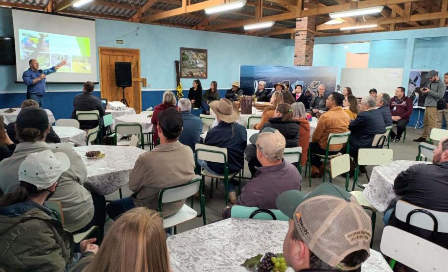 Estado investe para fortalecer a cultura da uva e o cooperativismo na região de Irati