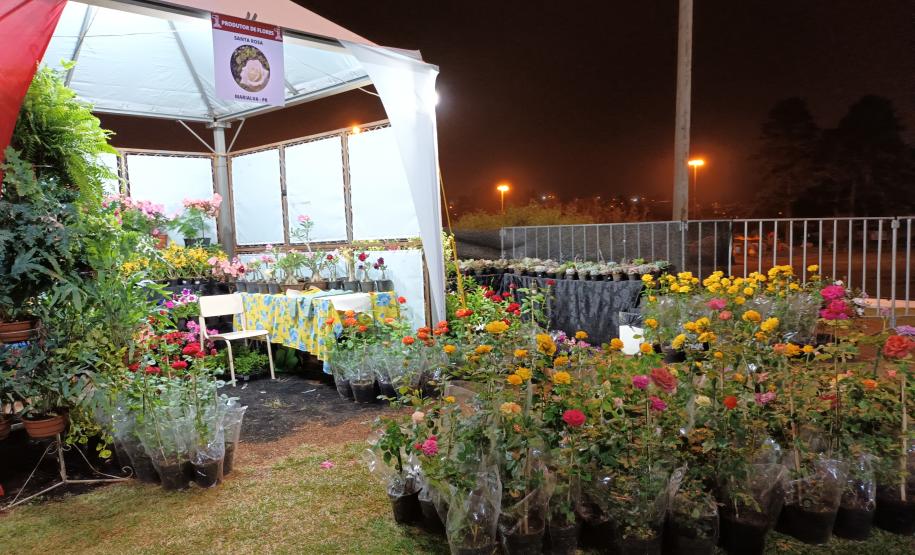 Festival Gastronômico valoriza agroindústria e cultura da região Central do Paraná