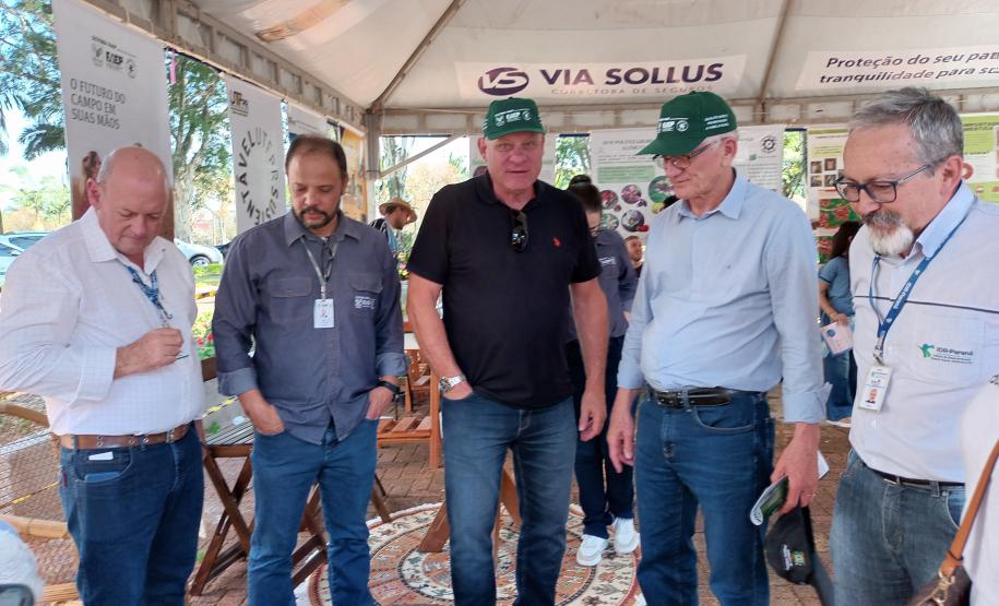 Eventos em Campo Mourão incentivam a produção orgânica e a segurança alimentar
