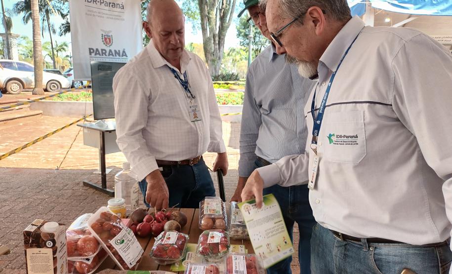 Eventos em Campo Mourão incentivam a produção orgânica e a segurança alimentar