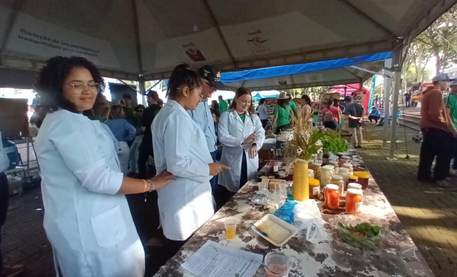 Eventos em Campo Mourão incentivam a produção orgânica e a segurança alimentar