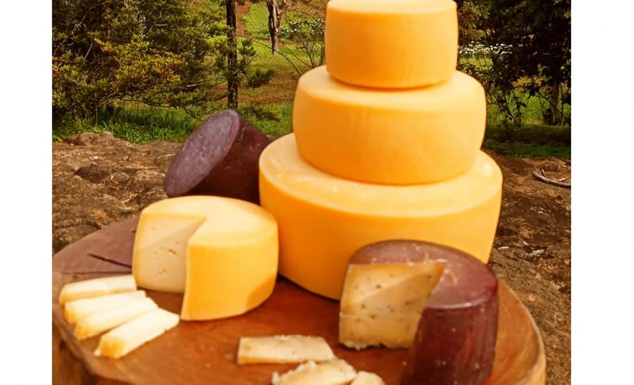 Queijaria de Francisco Beltrão é a primeira do Paraná a receber selo de carbono neutro