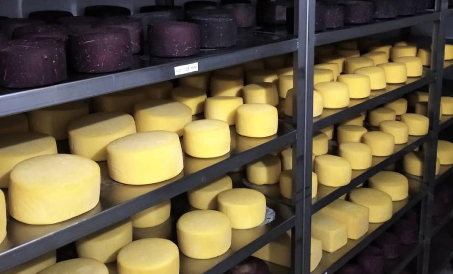 Queijaria de Francisco Beltrão é a primeira do Paraná a receber selo de carbono neutro