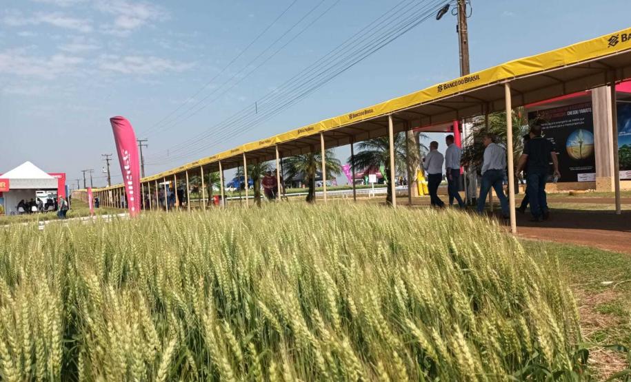 Estado reforça convite para municípios aderirem a sistema que elimina limites para venda de produtos agroindustrializados