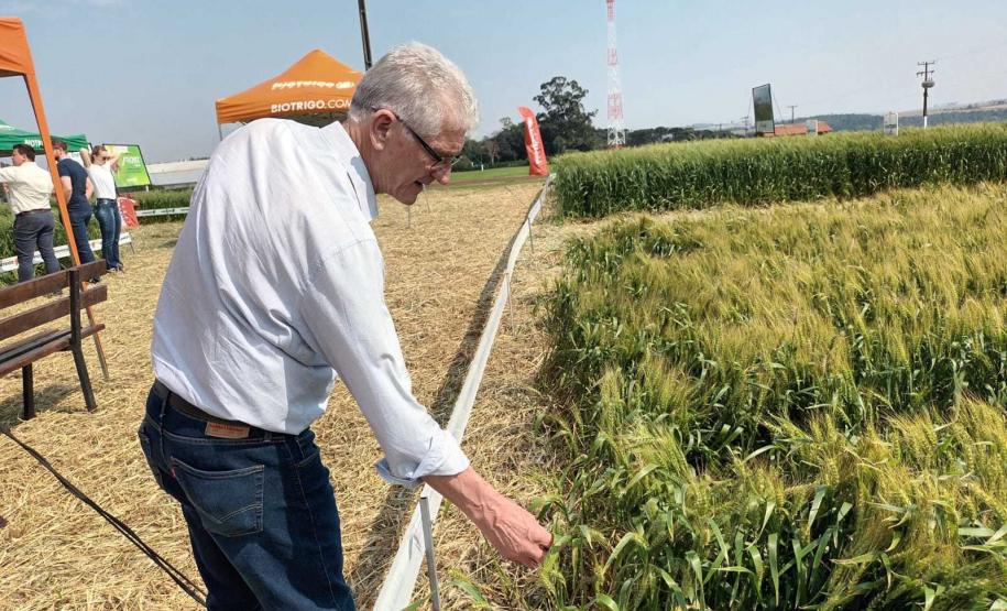 Estado reforça convite para municípios aderirem a sistema que elimina limites para venda de produtos agroindustrializados