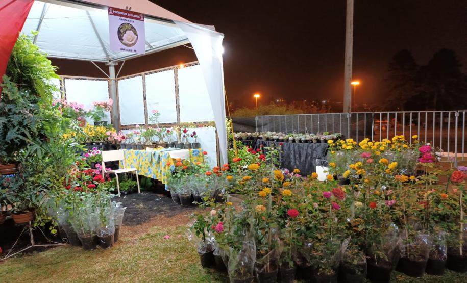 Festival Gastronômico valoriza agroindústria e cultura da região Central do Paraná