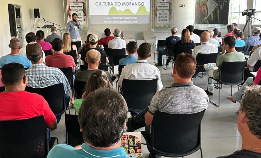 Encontro Estadual incentiva boas práticas na fruticultura do Paraná