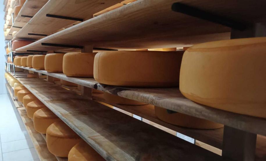 Castro é o 95º município a aderir ao Susaf e agroindústrias podem ampliar mercado