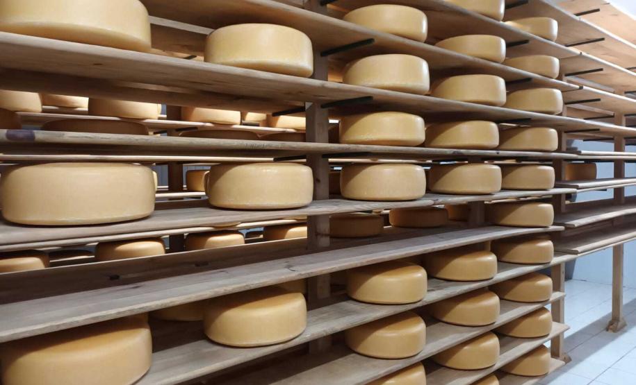 Castro é o 95º município a aderir ao Susaf e agroindústrias podem ampliar mercado