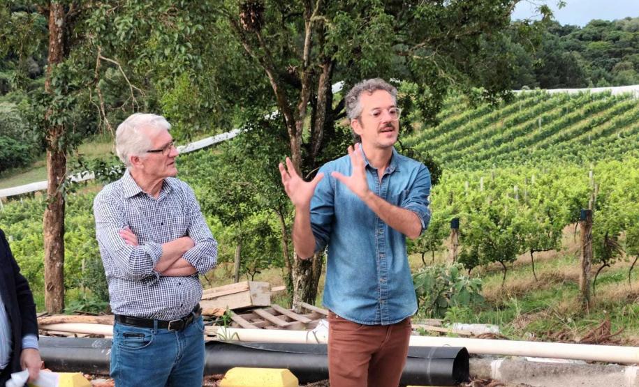 Revitalização da vitivinicultura paranaense é ressaltada em evento internacional