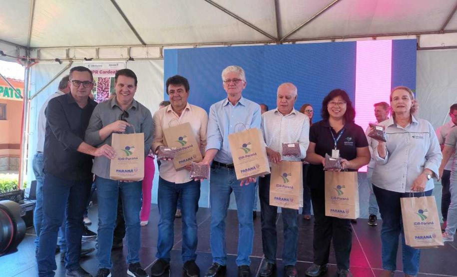 Com foco no mercado internacional, nova cultivar de feijão IPR Cardeal é lançada em Pato Branco