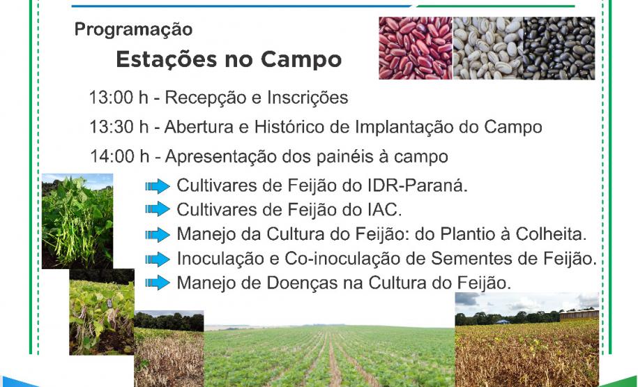 IDR-Paraná e Seab realizam tarde de campo sobre tecnologia de produção de feijão em Guarapuava
