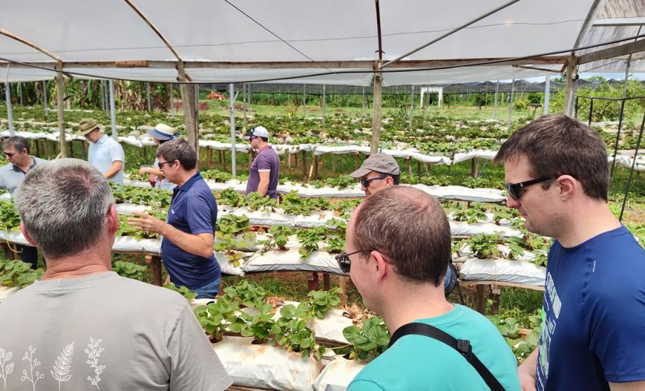 Turismo rural técnico-científico do Paraná atrai visitantes estrangeiros