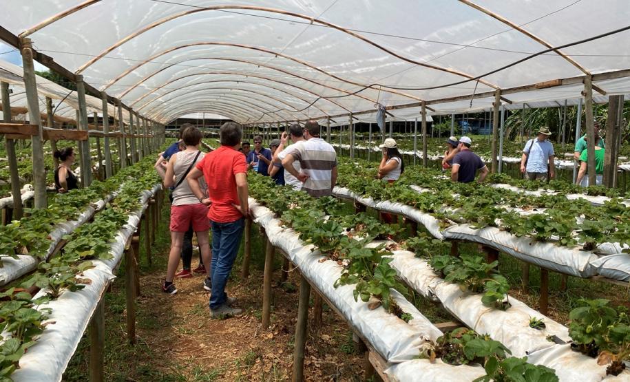 Turismo rural técnico-científico do Paraná atrai visitantes estrangeiros