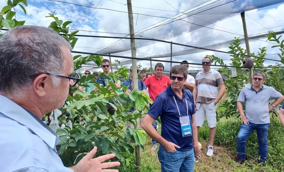 Turismo rural técnico-científico do Paraná atrai visitantes estrangeiros