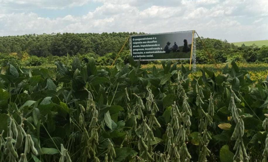 Eventos no Norte e Centro-Oeste discutem tecnologia e da inovação no agro