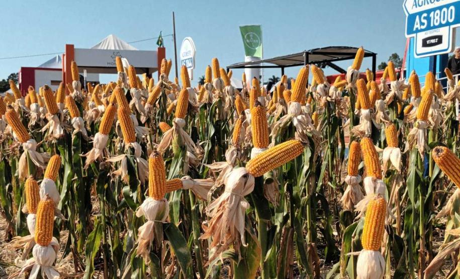 Eventos no Norte e Centro-Oeste discutem tecnologia e da inovação no agro