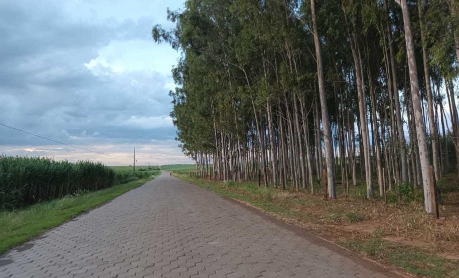 Apoio do Seagri desenvolve estradas rurais e incentiva agroindústrias no Noroeste