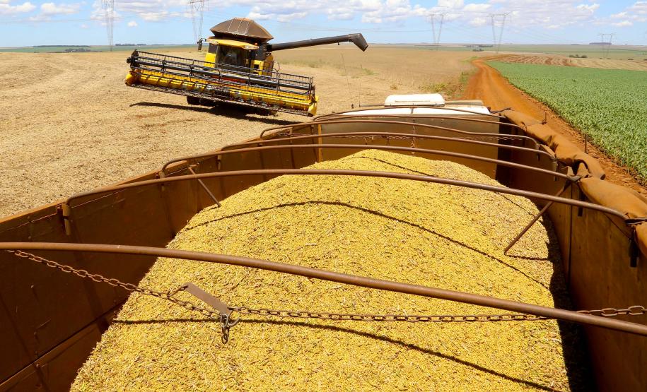 Boletim analisa safra de 18,8 milhões de toneladas de soja no Paraná e preços das carnes