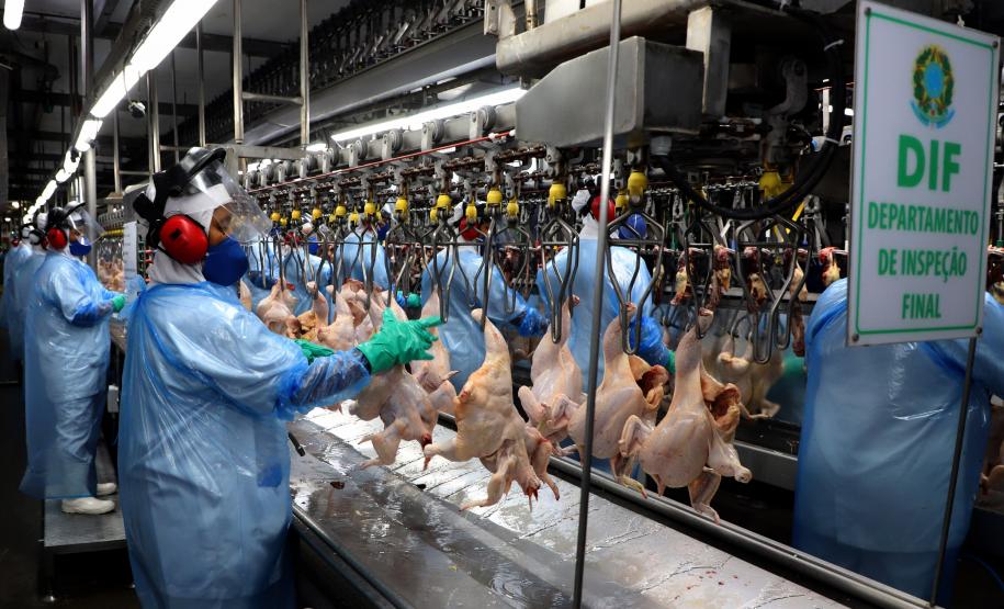 Mais seis plantas paranaenses são habilitadas para exportar frango para a China