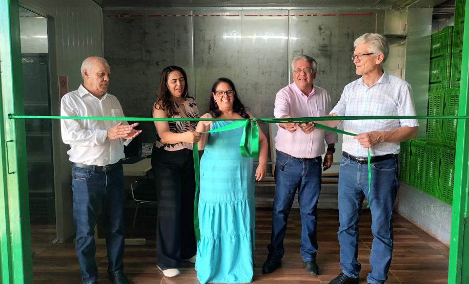 Agricultores familiares de Paiçandu inovam com produção de farofa de batata-doce