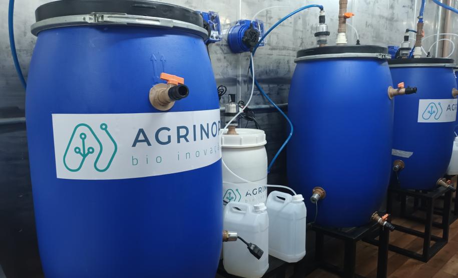 Agricultores familiares de Paiçandu inovam com produção de farofa de batata-doce