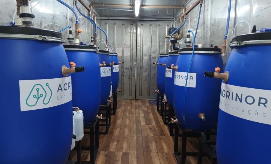 Agricultores familiares de Paiçandu inovam com produção de farofa de batata-doce