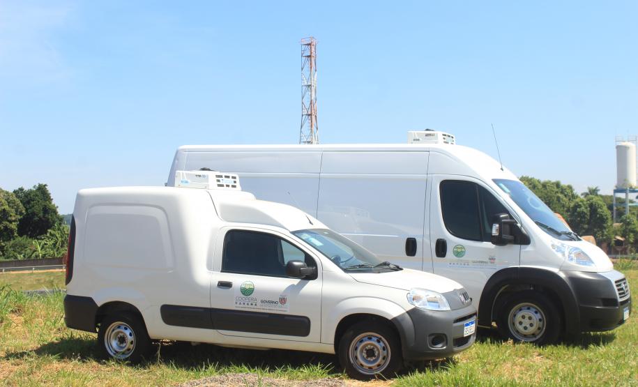 Agricultores familiares de Paiçandu inovam com produção de farofa de batata-doce