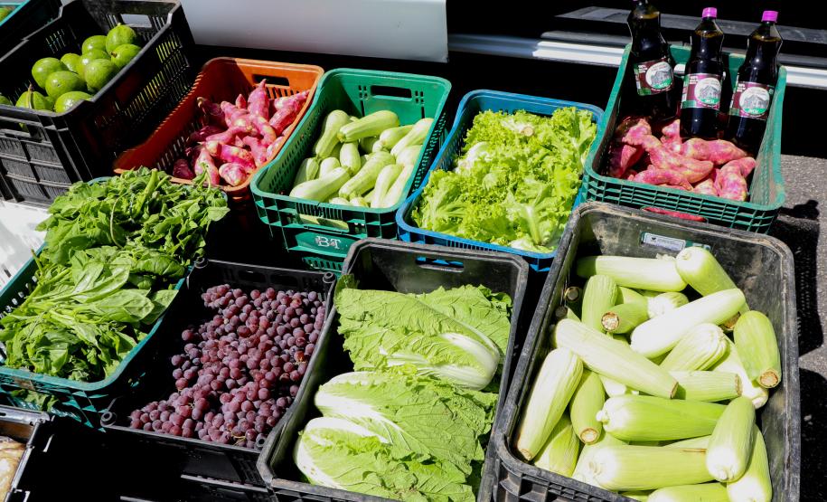 Programa Compra Direta Paraná inicia as primeiras entregas de alimentos