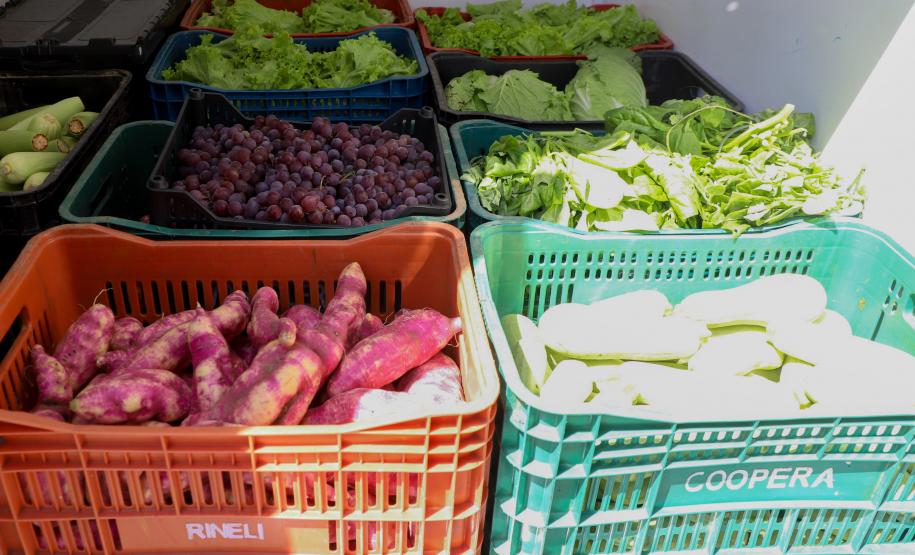 Programa Compra Direta Paraná inicia as primeiras entregas de alimentos