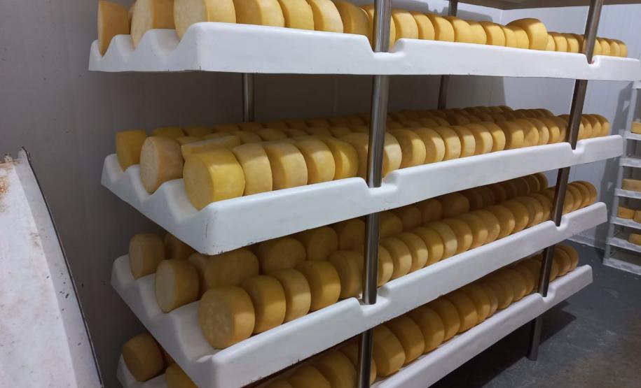 Produtora de Dois Vizinhos vence o Prêmio Expobel de Queijos Coloniais do Sudoeste