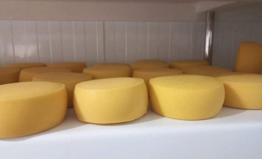 Produtora de Dois Vizinhos vence o Prêmio Expobel de Queijos Coloniais do Sudoeste