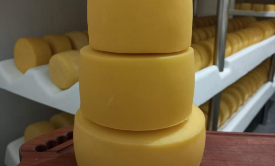 Produtora de Dois Vizinhos vence o Prêmio Expobel de Queijos Coloniais do Sudoeste