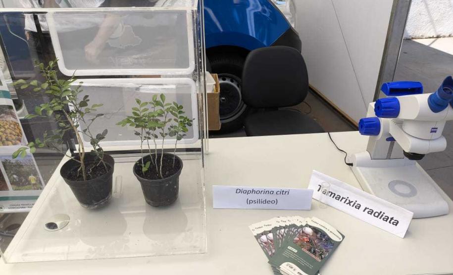 Adapar leva à ExpoLondrina 2024 programação sobre combate ao greening e biosseguridade na avicultura